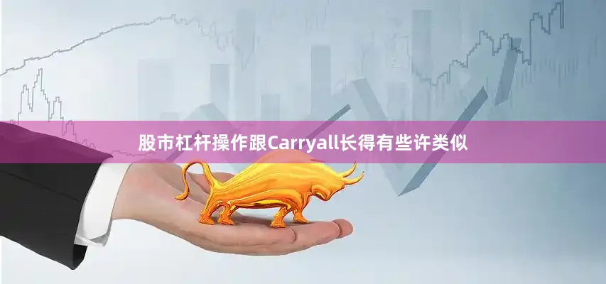 股市杠杆操作跟Carryall长得有些许类似