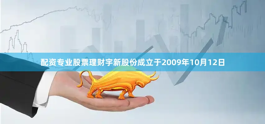 配资专业股票理财宇新股份成立于2009年10月12日
