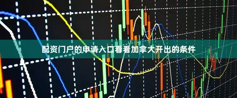 配资门户的申请入口看看加拿大开出的条件