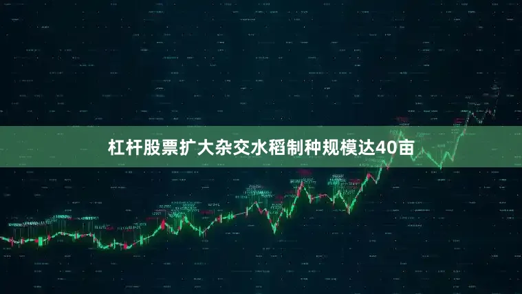 杠杆股票扩大杂交水稻制种规模达40亩
