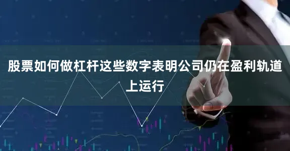 股票如何做杠杆这些数字表明公司仍在盈利轨道上运行